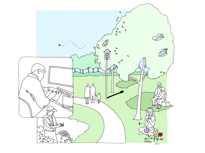 Park illustration